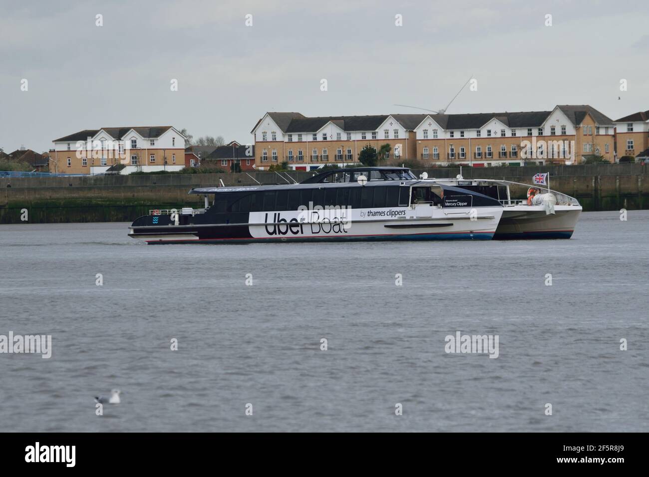 Uber Boat by Thames Clipper River bus service Vessel Mercury Clipper fuori sul Tamigi Foto Stock