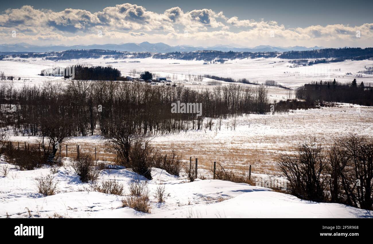 Una vista sulle colline ondulate e le pendici occidentali Delle Montagne Rocciose canadesi in Alberta Canada Foto Stock