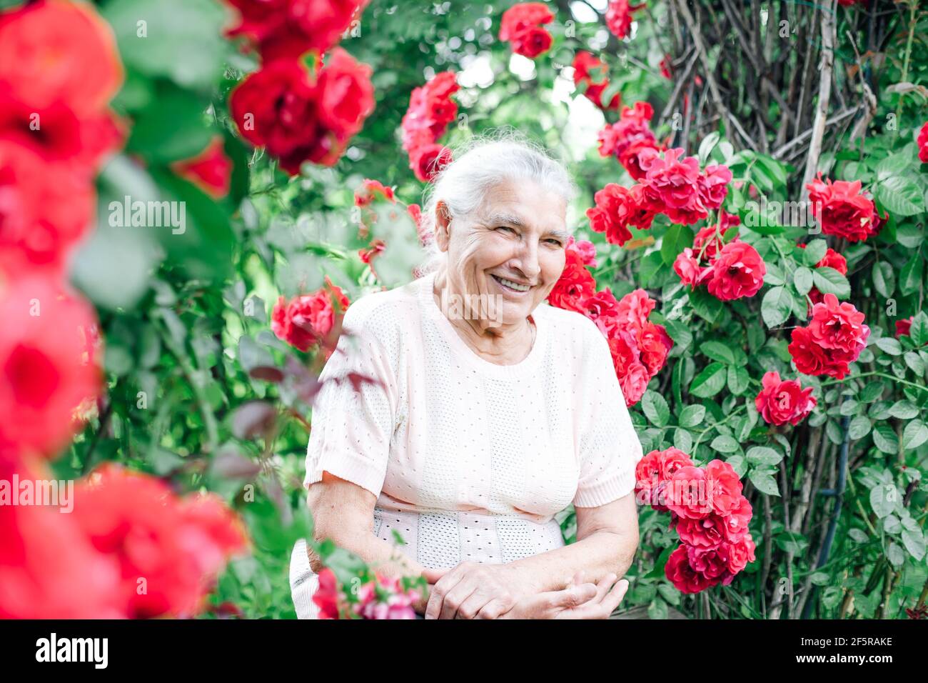 ritratto di un'affascinante vecchia donna dai capelli bianchi seduta su un panchina sotto un arco di rose selvatiche e ridendo con un sorriso bianco neve Foto Stock