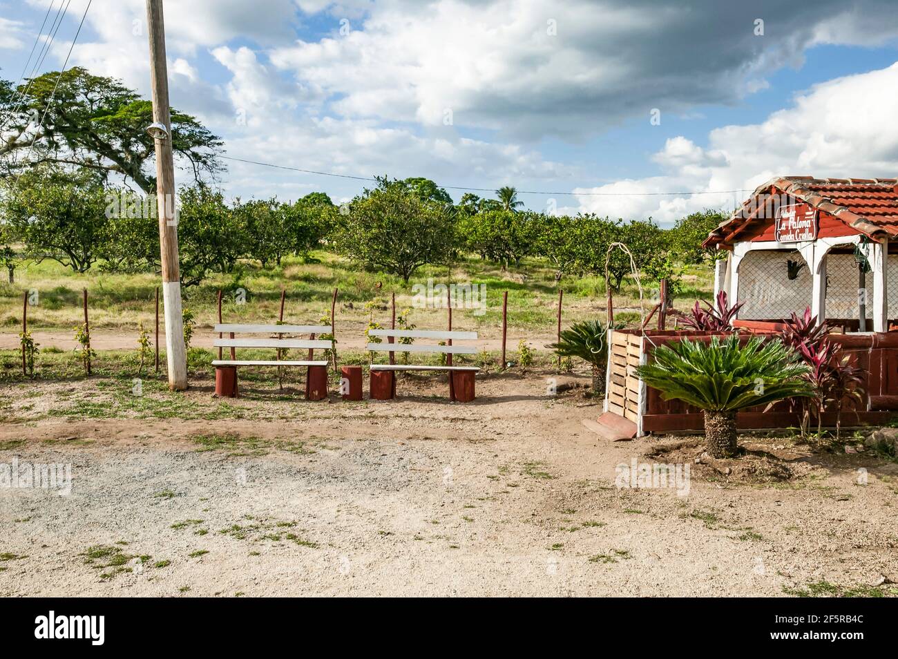 Agriturismo nella provincia rurale di Cienfuegos, Cuba, Foto Stock