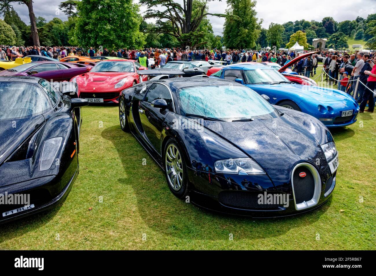 Wilton House, Wiltshire, UK - Agosto 10 2014: Una collezione di rare e costose supercar tra cui una Ferrari Enzo e Bugatti Veyron EB 16.4 Foto Stock