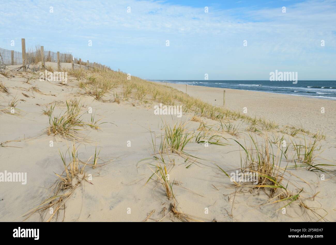 Il litorale vuoto lungo la costa di Assateague/Chincoteague sulla costa orientale degli Stati Uniti Foto Stock