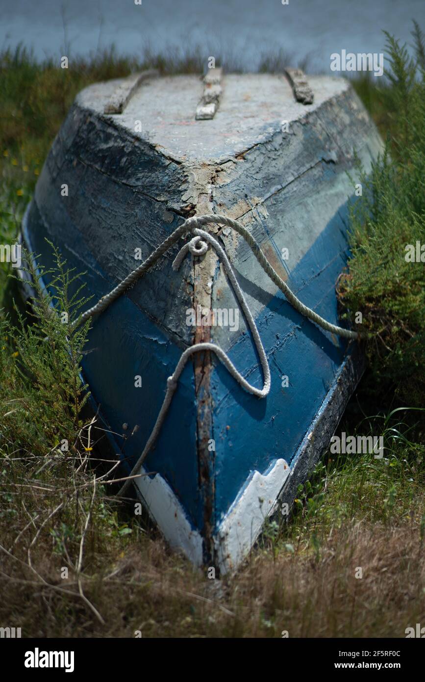 Un colpo verticale con una profondità superficiale di campo di una barca da pesca blu con peeling vernice capovolta sulla riva del fiume circondata dal verde, wi Foto Stock