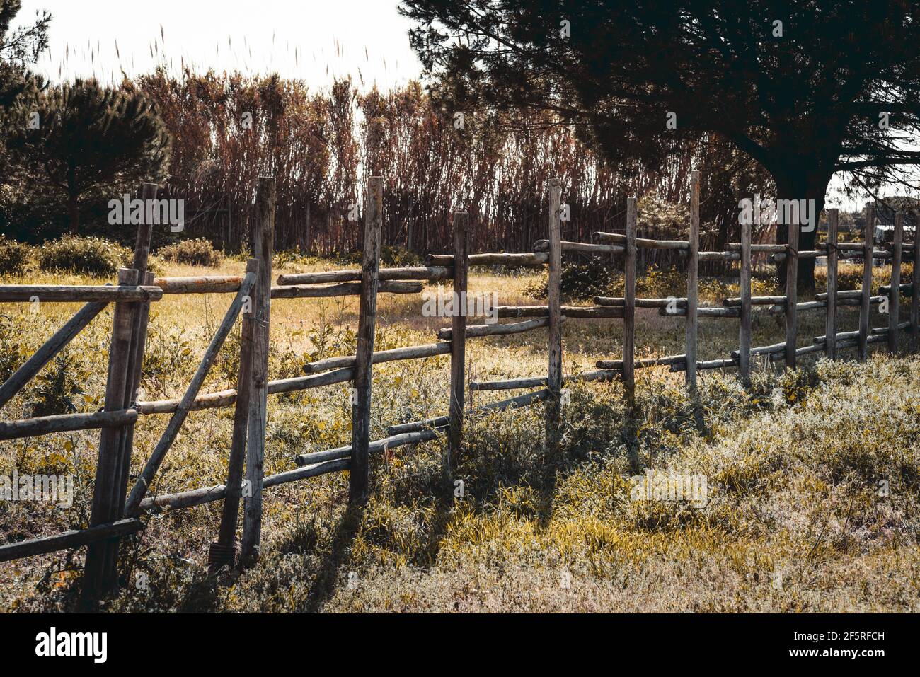 Una lunga recinzione di legno su un agricolo o un pascolo campo in un'area rurale in una giornata calda e luminosa fondendo ombre di contrasto sulle erbe native nel f Foto Stock