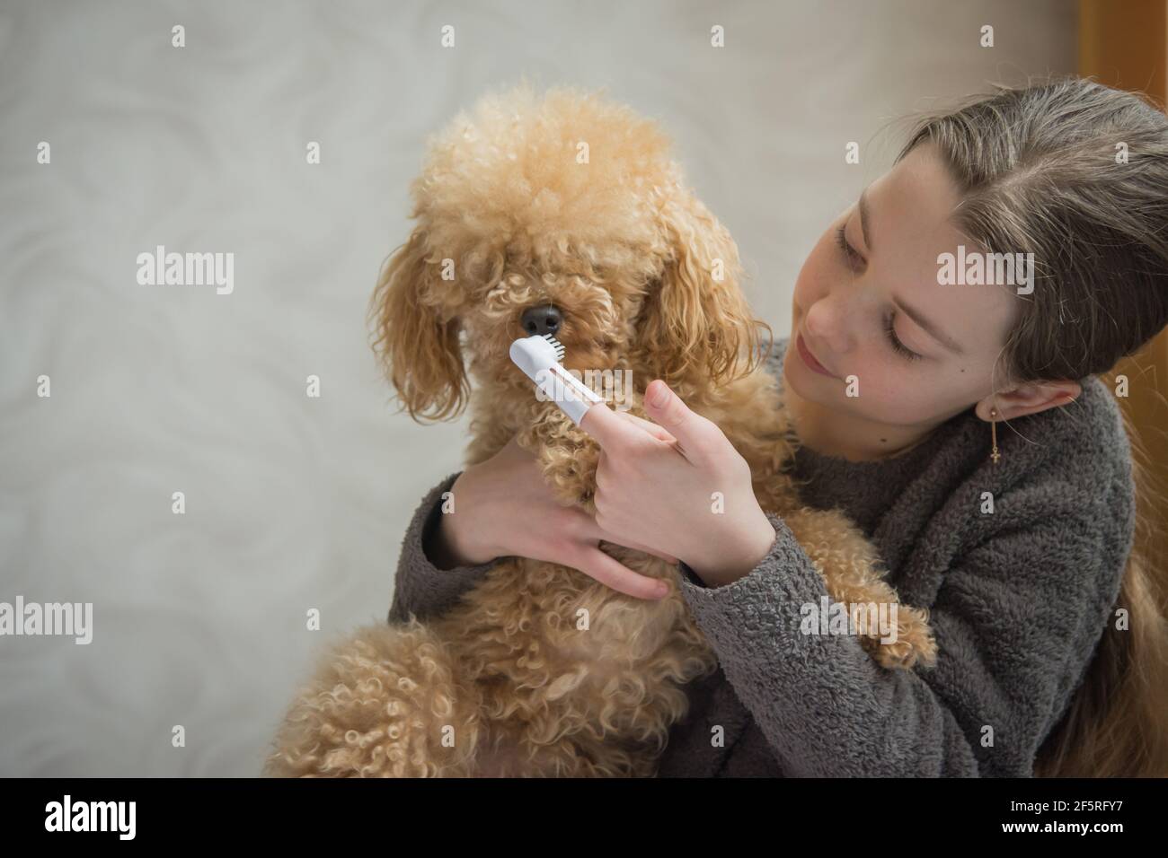 La ragazza sta spazzolando i denti del suo cane. Foto Stock