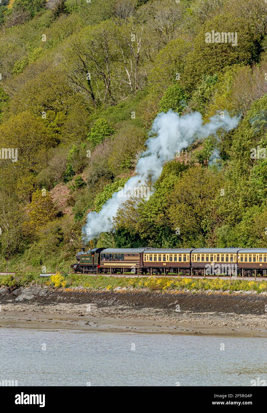 Ferrovia a vapore di Dartmouth vicino alla stazione di Kingswear, Devon, Inghilterra, Regno Unito Foto Stock