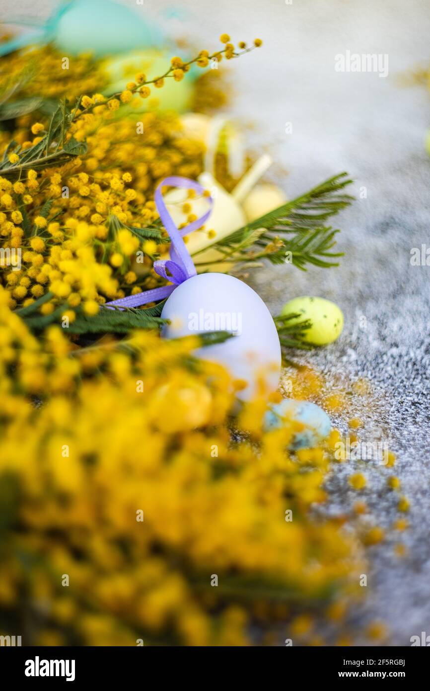 Offerta speciale per le vacanze di pasqua e floreali primaverili Foto Stock