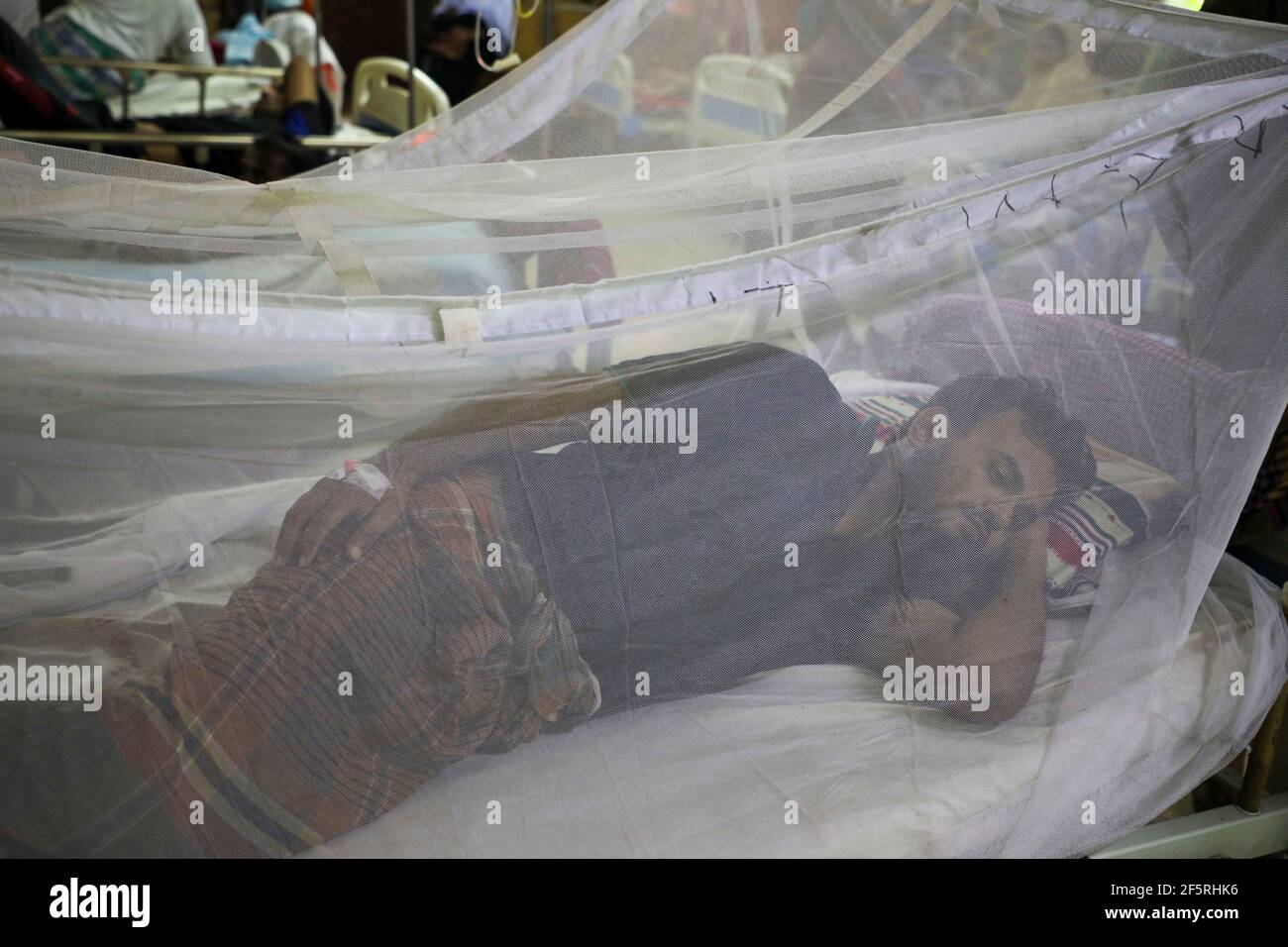 Pazienti con febbre da dengue virale trasmessa da zanzare che si trovano all'interno di zanzariere presso lo Shaheed Suhrawardy Medical College Hospital di Dhaka. Bangladesh Foto Stock
