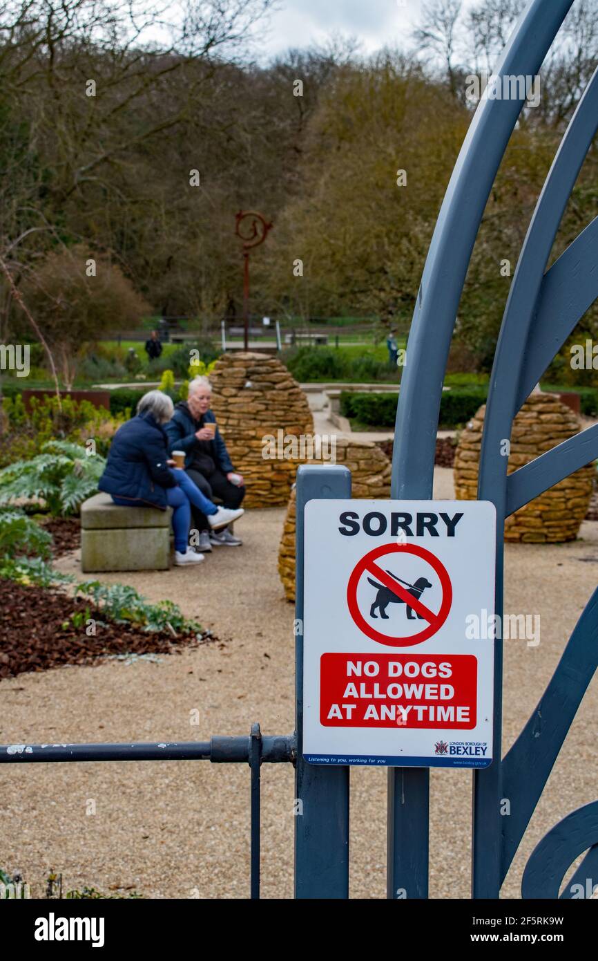Le Signore si rilassano nel parco dell'abbazia di Lesnes Foto Stock