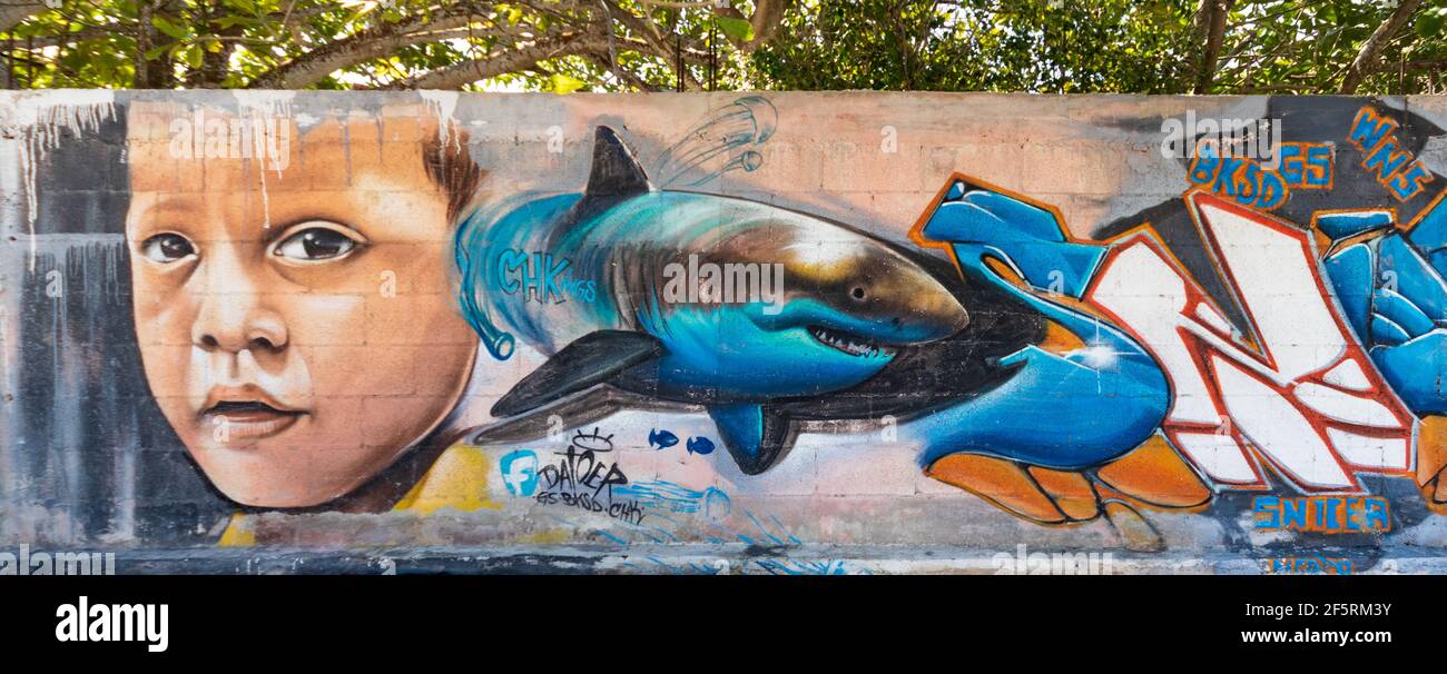 Arte di strada in Messico con un bel disegno di un ragazzo e uno squalo, con il sole che splende attraverso le piante tropicali sullo sfondo Foto Stock