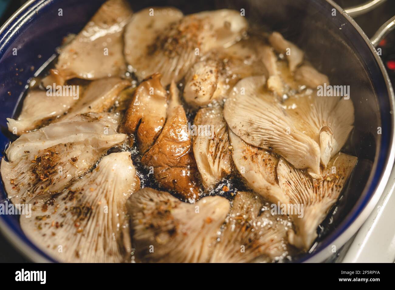 Oyster Mushroom Pleurotus ostreatus primo piano cottura nella friggitrice panoramica Foto Stock