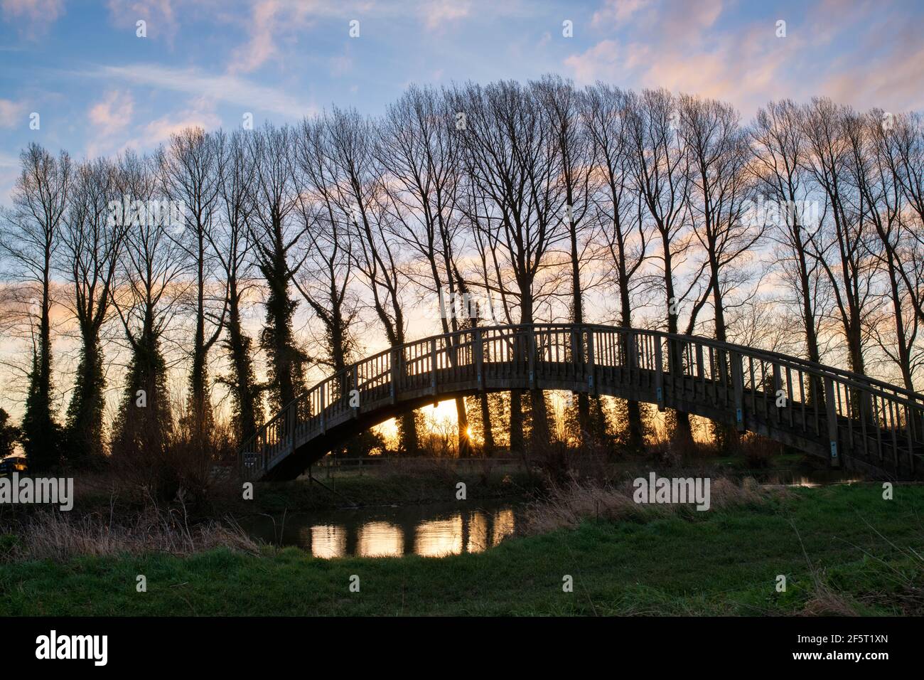 Ponte pedonale Bloomers Hole. Ponte di legno sul tamigi vicino a buscot all'alba in primavera. Buscot, Oxfordshire, Inghilterra Foto Stock