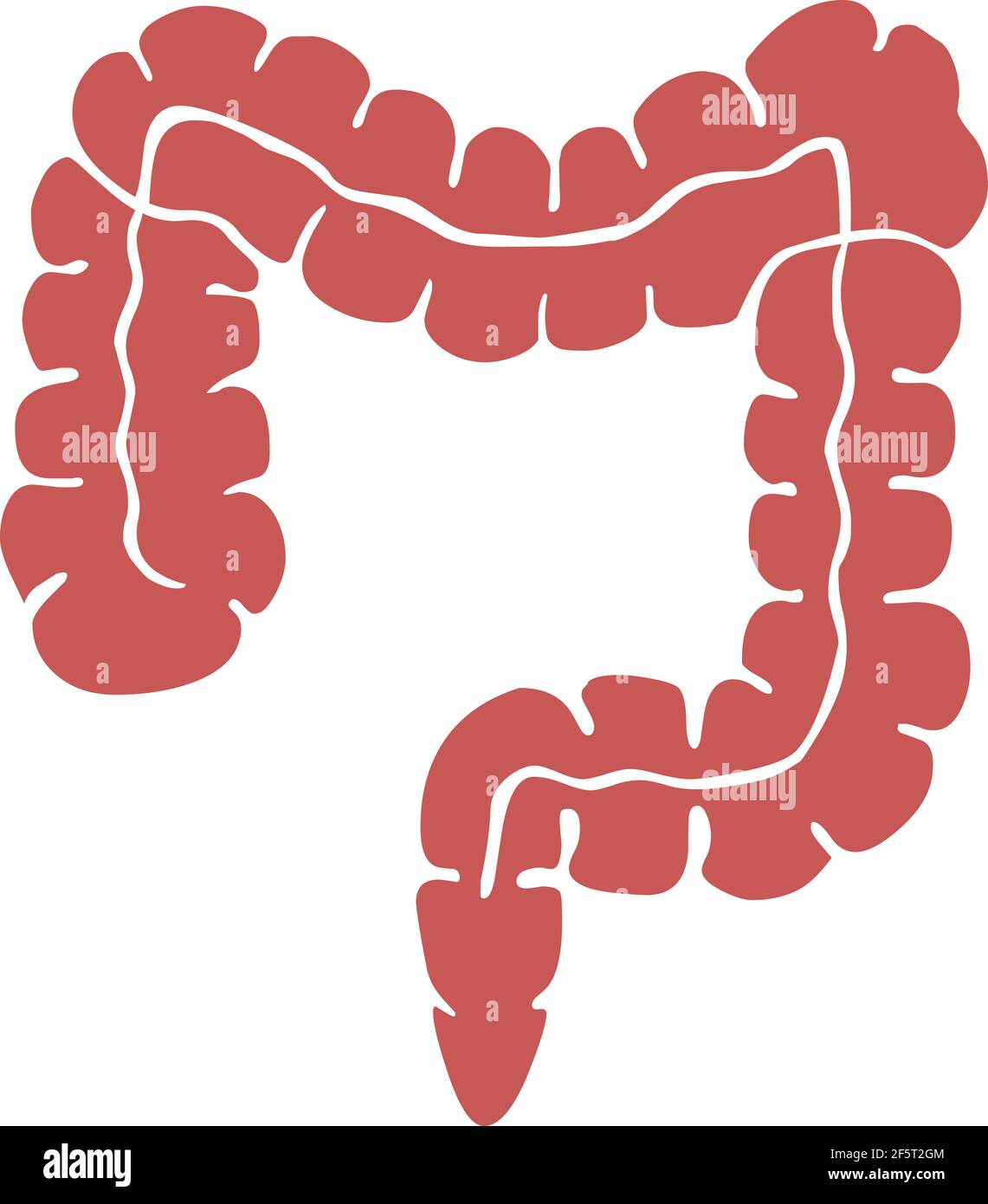 Icona del logo dell'illustrazione dell'intestino crasso isolato su sfondo bianco Illustrazione Vettoriale