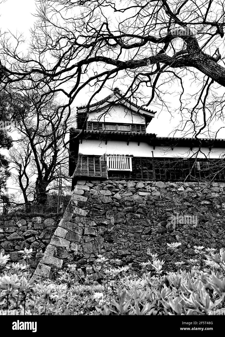 Le rovine del Castello di Fukuoka si trovano nel Parco di Maizuru, che prende il nome dall'alias del castello, il Castello di Maizuru, costruito nel 1603. Fukuoka, Giappone, 04-07-2015 Foto Stock