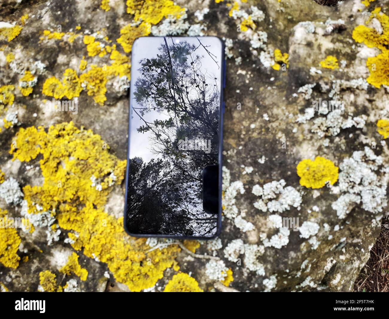 smartphone, rock, pietra, giallo, riflessione, alberi, natura, tecnologia, licheni, vetro Foto Stock