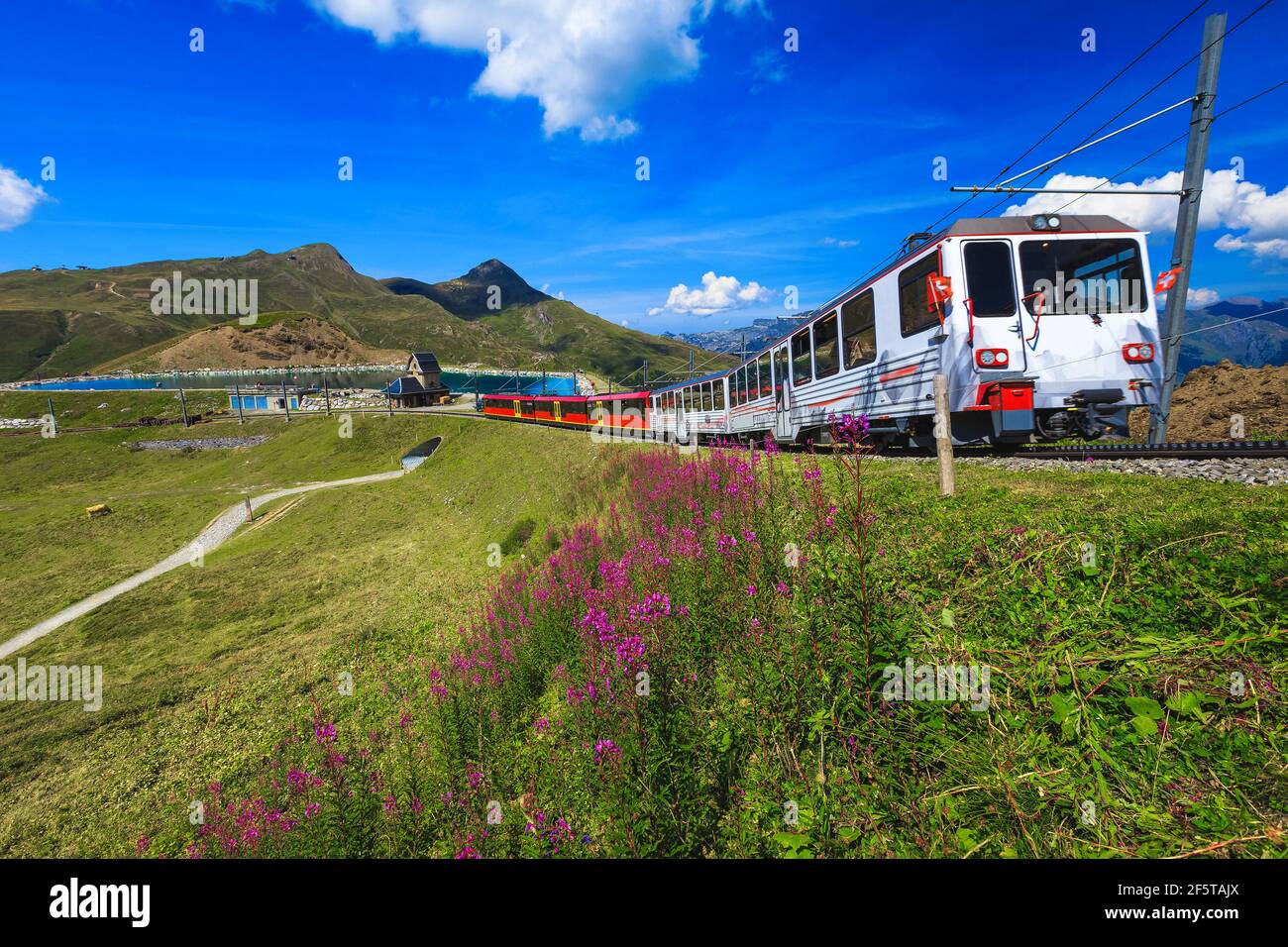 Treno turistico a cremagliera che scende dalla stazione di montagna sulla ripida ferrovia, Jungfraujoch, Kleine Scheidegg, Oberland Bernese, Svizzera, Euro Foto Stock