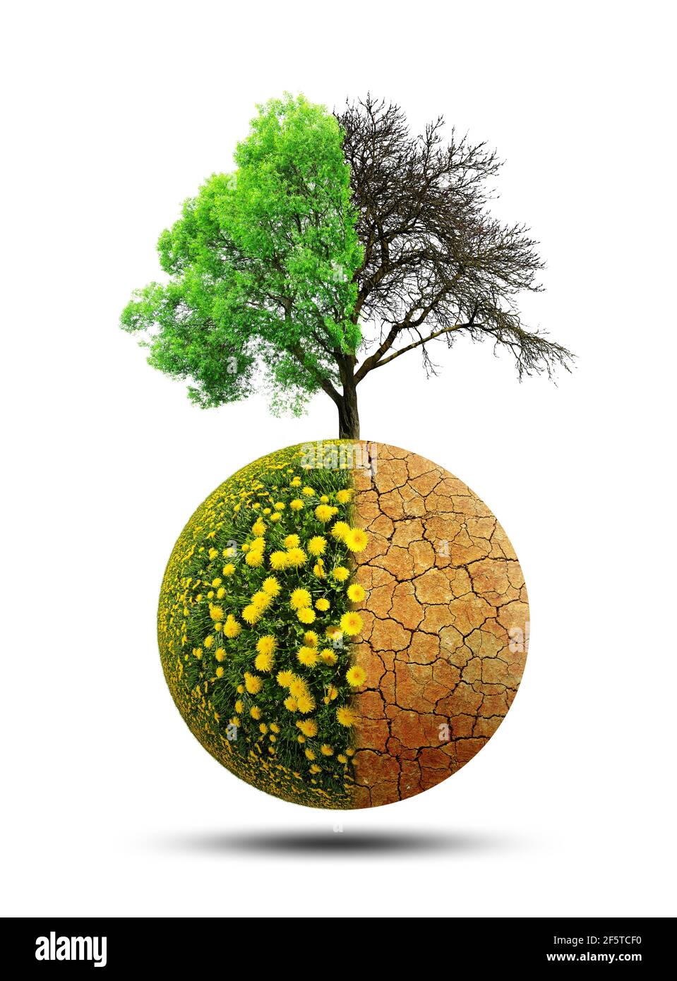 Pianeta lussureggiante e asciutto con albero isolato su uno sfondo bianco. Concetto di cambiamento climatico o riscaldamento globale. Foto Stock