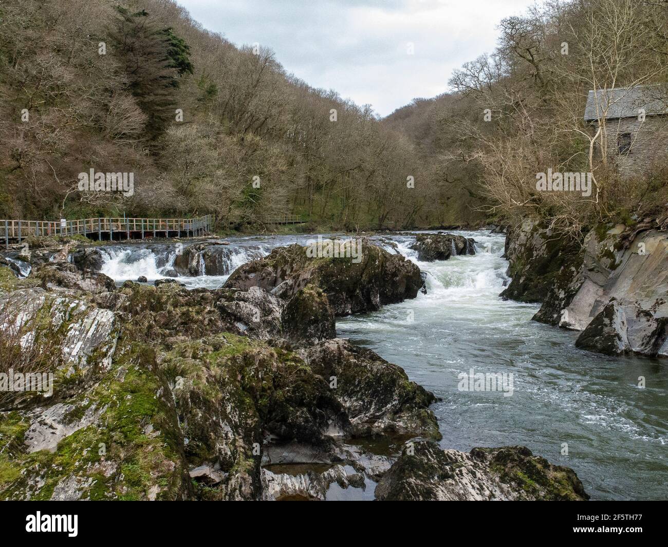 Cenarth Falls Carmarthenshire West Wales - situato al confine tra il Cardiganshire, il Carmarthenshire e il Pembrokeshire Foto Stock