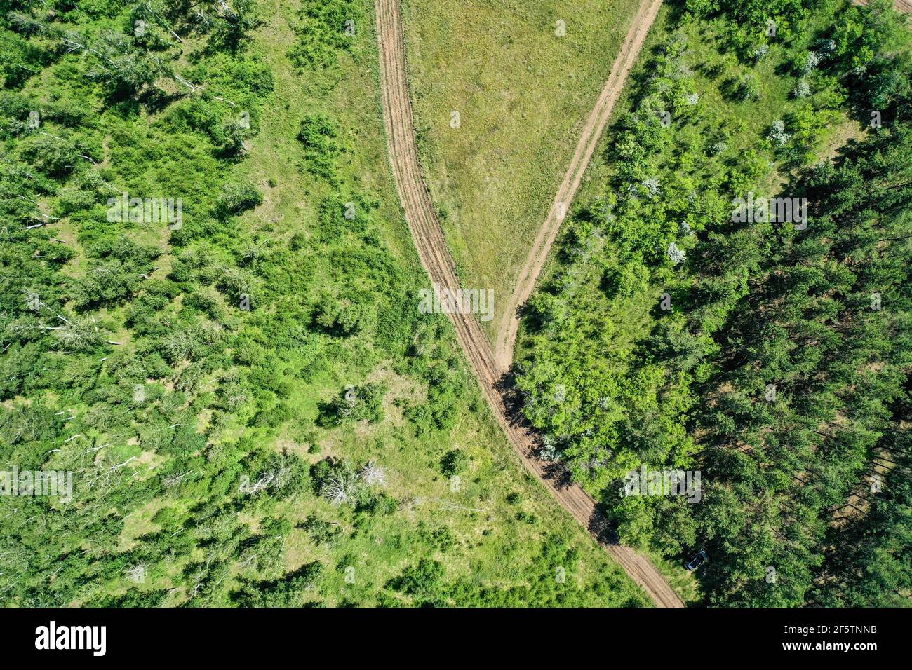 Un treno su una lussureggiante foresta verde Foto Stock