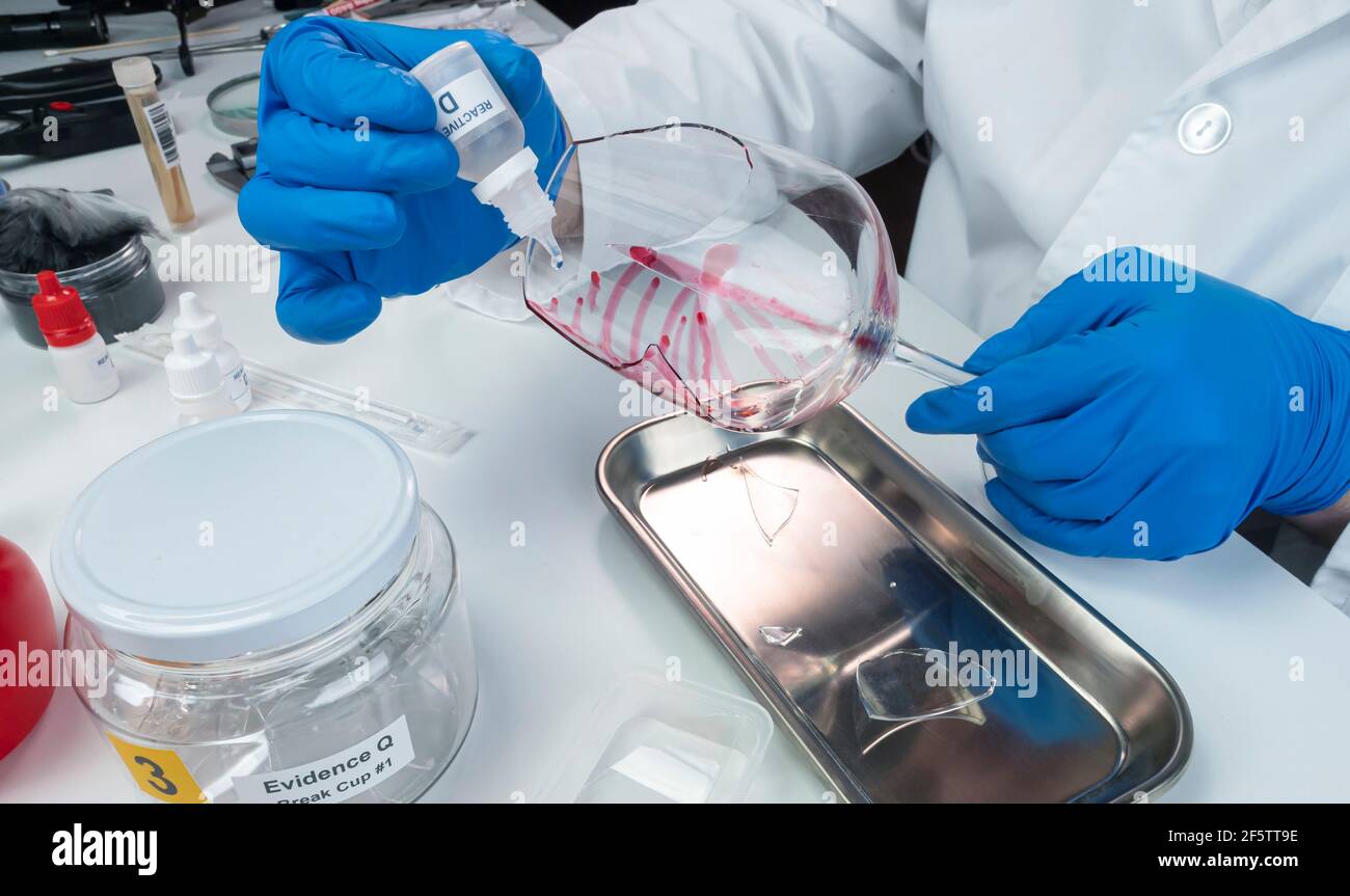Esperto di polizia diventa campione di sangue dalla rottura di un vaso di vetro in laboratorio Criminalistic, immagine concettuale Foto Stock