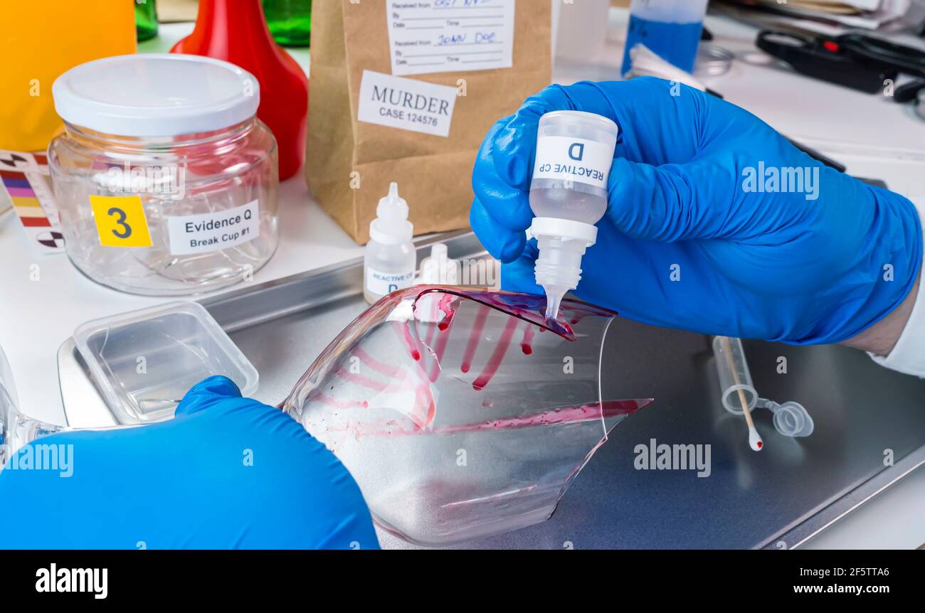 Esperto di polizia diventa campione di sangue dalla rottura di un vaso di vetro in laboratorio Criminalistic, immagine concettuale Foto Stock