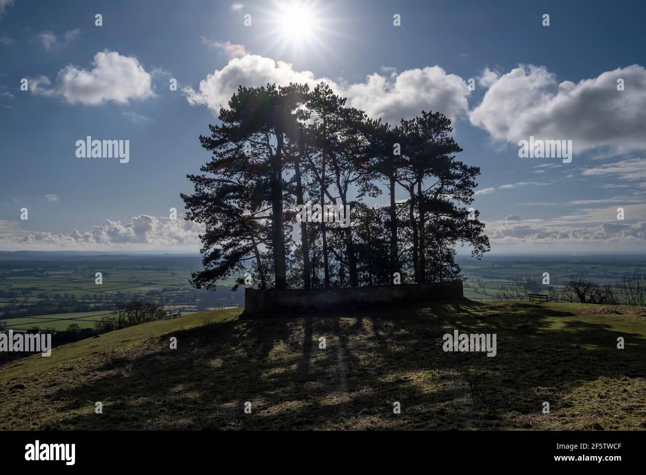 Recinzione di alberi di Wotton Hill sopra la città di Wotton-Under-Edge sul Cotswold Way National Trail. Foto Stock