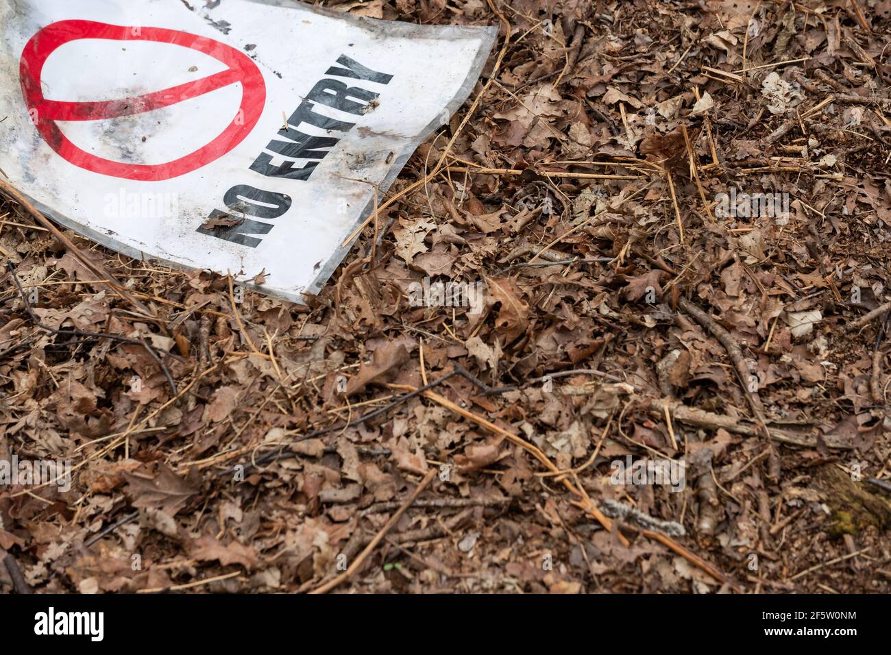 Scartato, makeshift Nessun segno di ingresso visto su una coperta di foglie essiccate situato su un pavimento di Forrest. Foto Stock