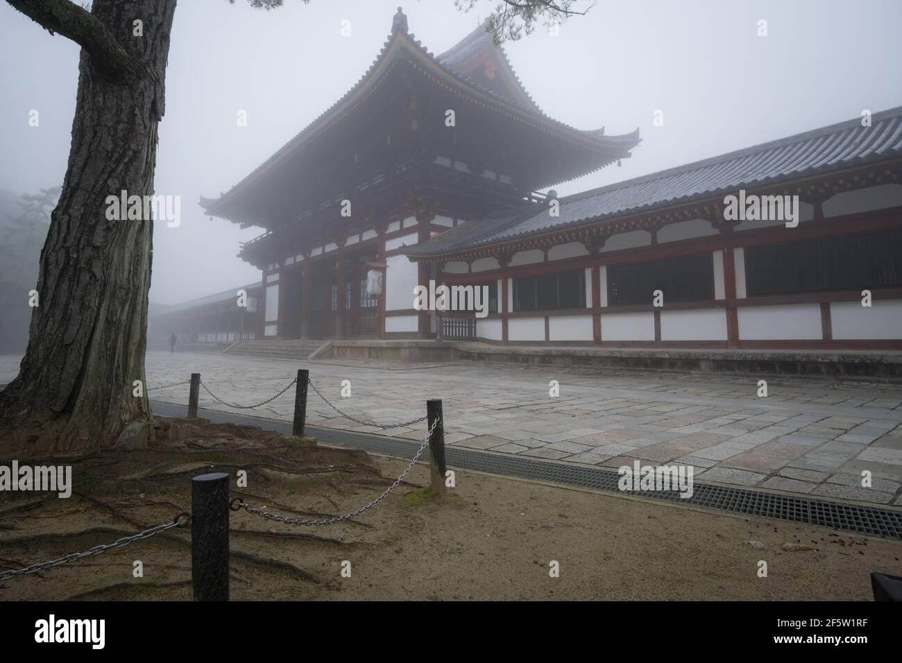 Deserto Todaiji tempio a Nara, Giappone in una mattina misteriosa in marzo. Le paure di coronavirus hanno portato a un numero ridotto di visitatori in molti luoghi turistici famosi Foto Stock