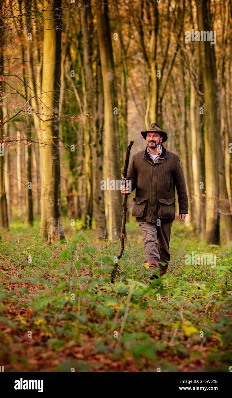 Navigatore naturale Tristan Gooley davanti al suo nuovo libro lancia il mondo segreto del tempo, camminando in alcuni dei suoi boschi preferiti di West Sussex vicino a Chichester, Regno Unito Foto Stock