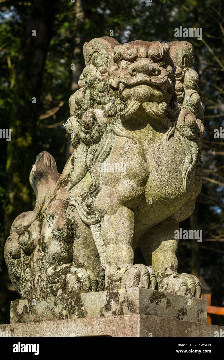 Una statua di un cane di leone komainu che protegge l'ingresso al Grande Santuario di Kasuga Taisha, un importante santuario shintoista a Nara, Giappone Foto Stock