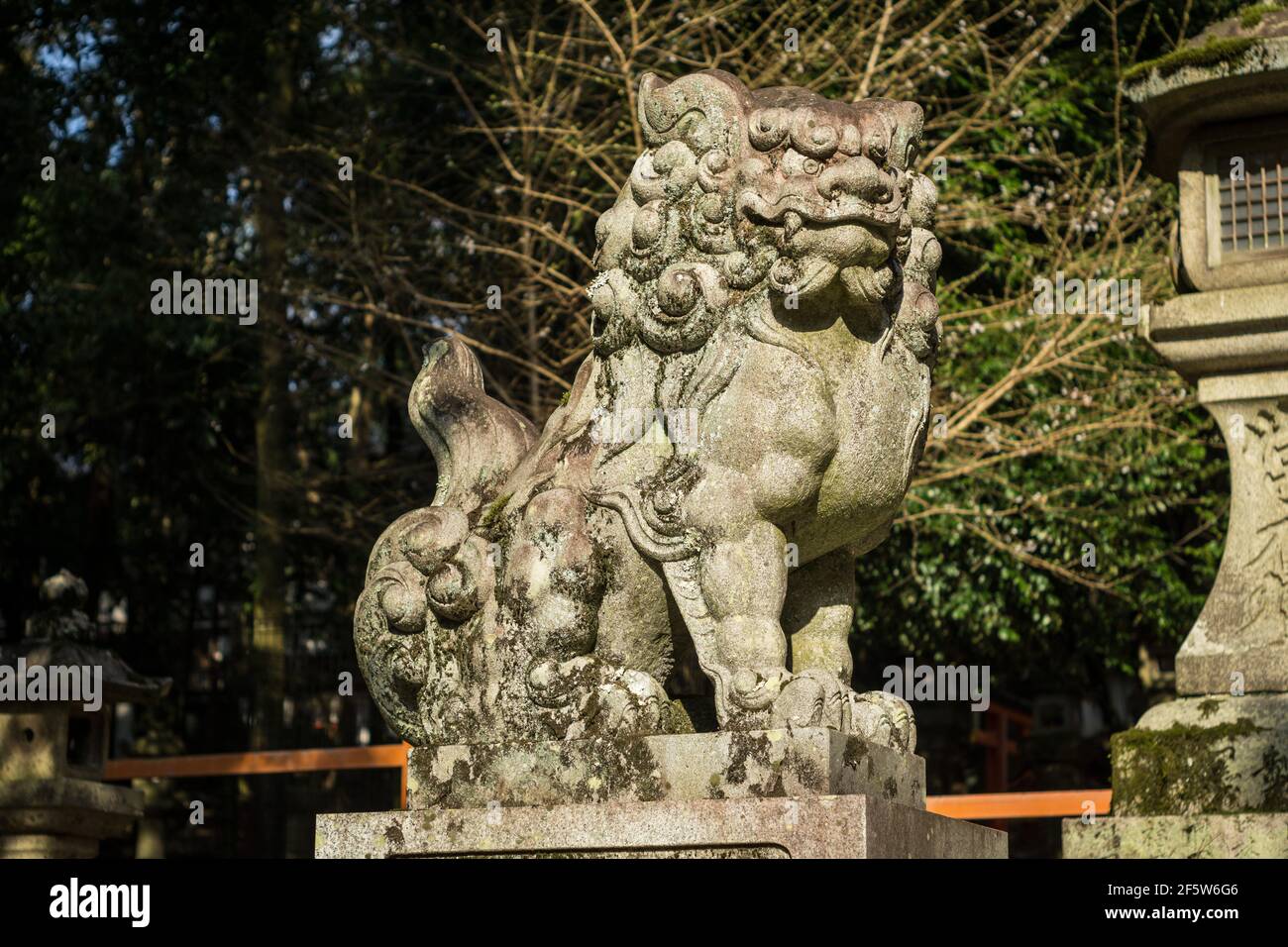 Una statua di un cane di leone komainu che protegge l'ingresso al Grande Santuario di Kasuga Taisha, un importante santuario shintoista a Nara, Giappone Foto Stock