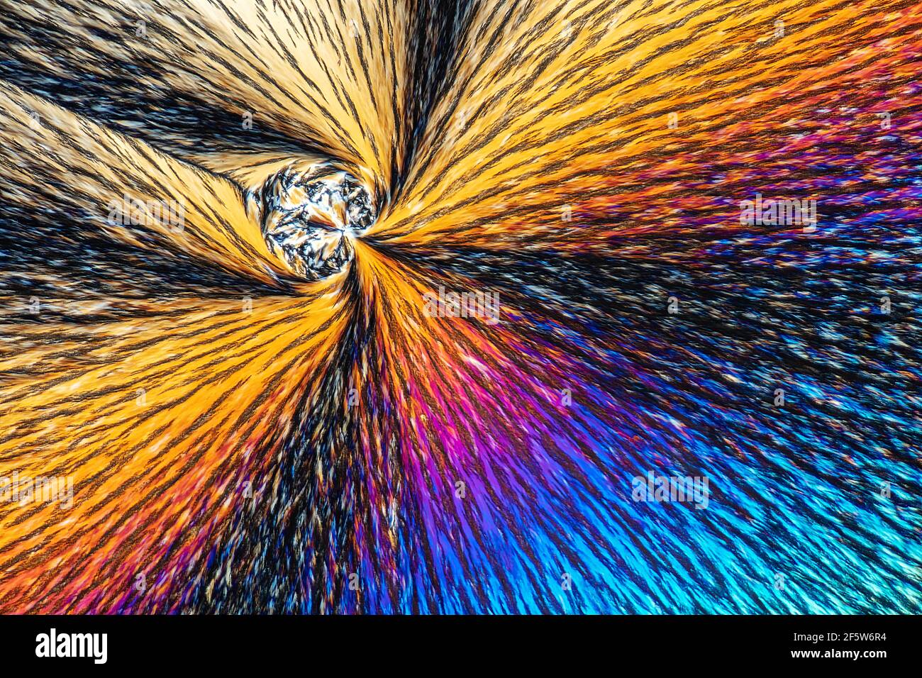 Mentolo cristallizzato da luce fusa polarizzata Foto Stock