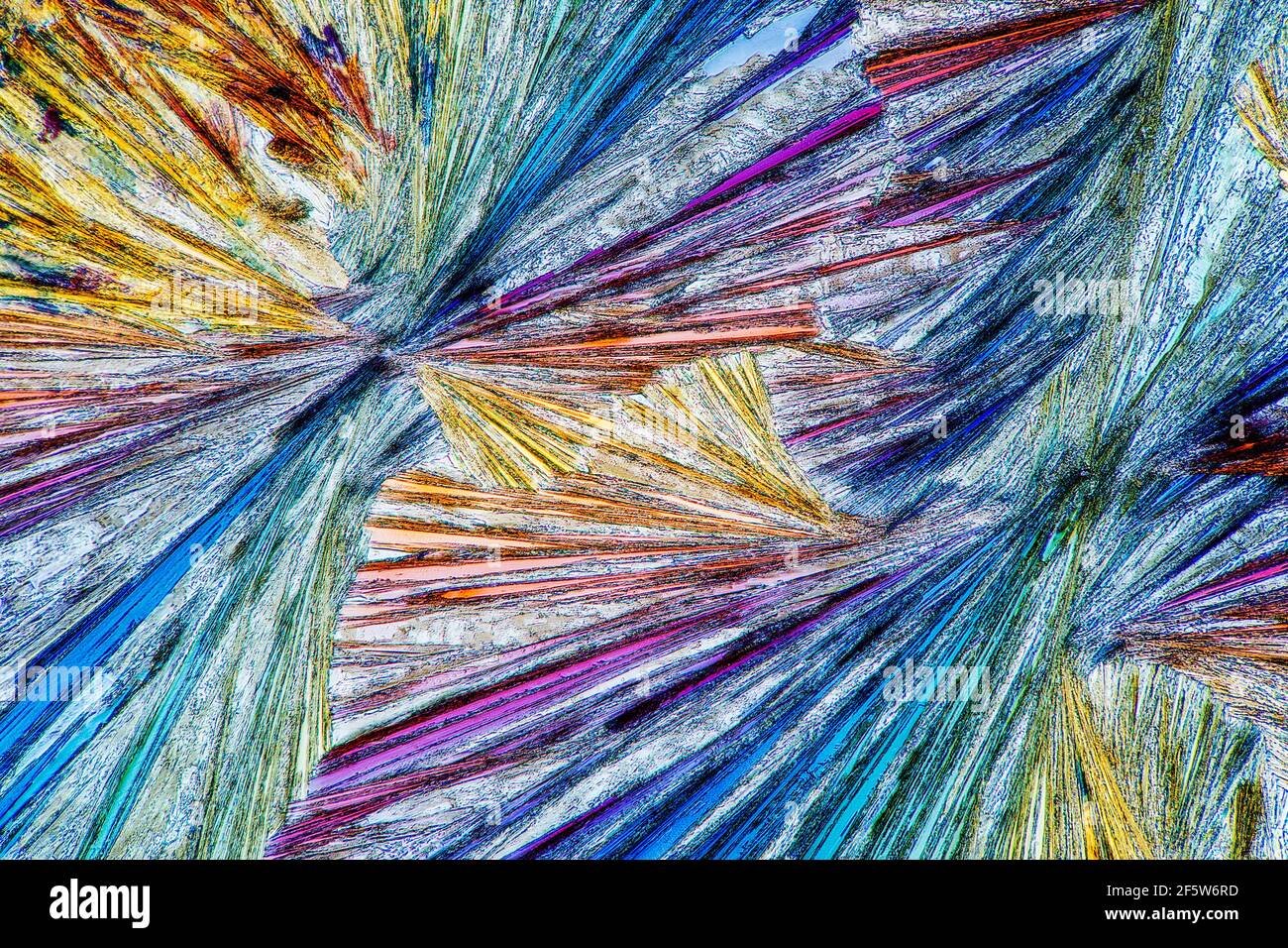 Luce polarizzata di acido tartarico cristallizzata Foto Stock