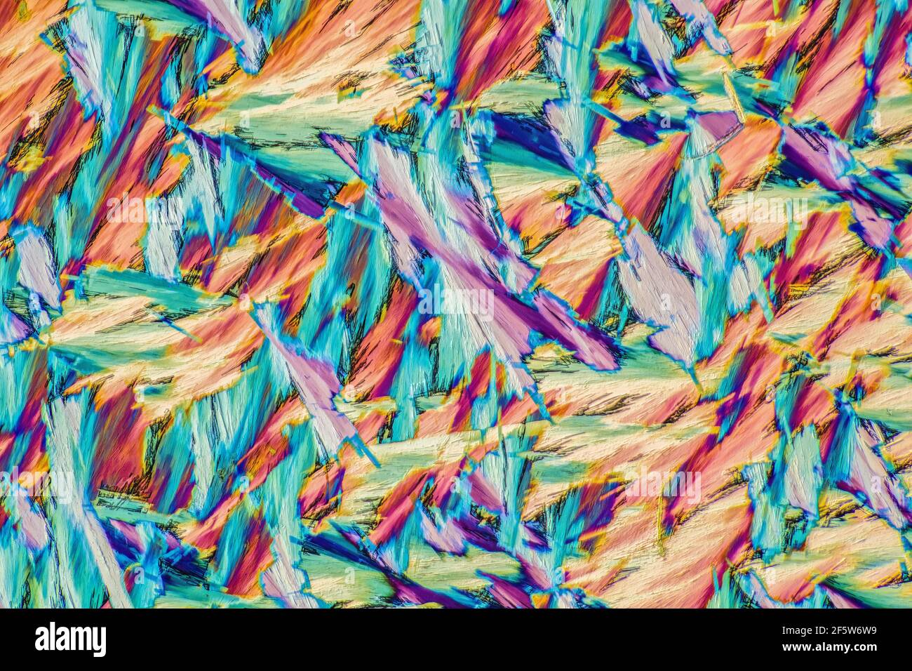 Mentolo cristallizzato, luce polarizzata Foto Stock