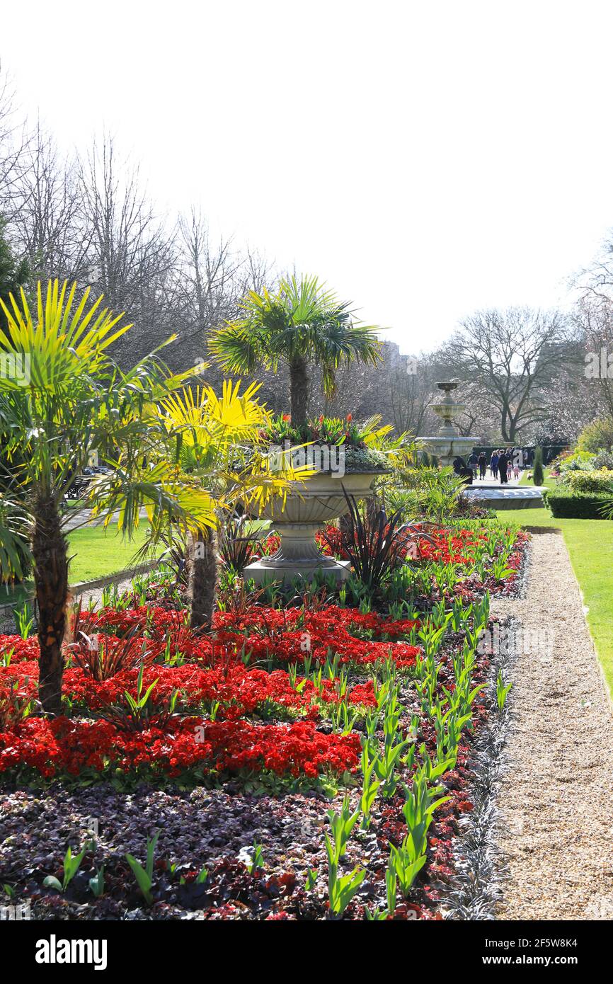 Sole primaverile negli Avenue Gardens di Regents Park, a nord di Londra, Regno Unito Foto Stock