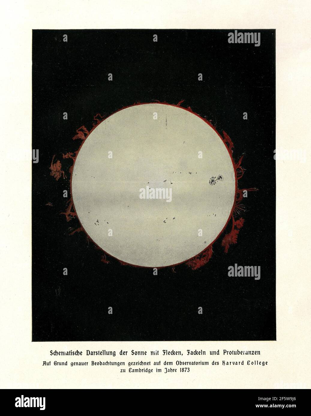Rappresentazione schematica del sole con macchie, svasature e prominenze, disegnata sulla base di un'osservazione esatta presso l'osservatorio dell'Harvard College Foto Stock