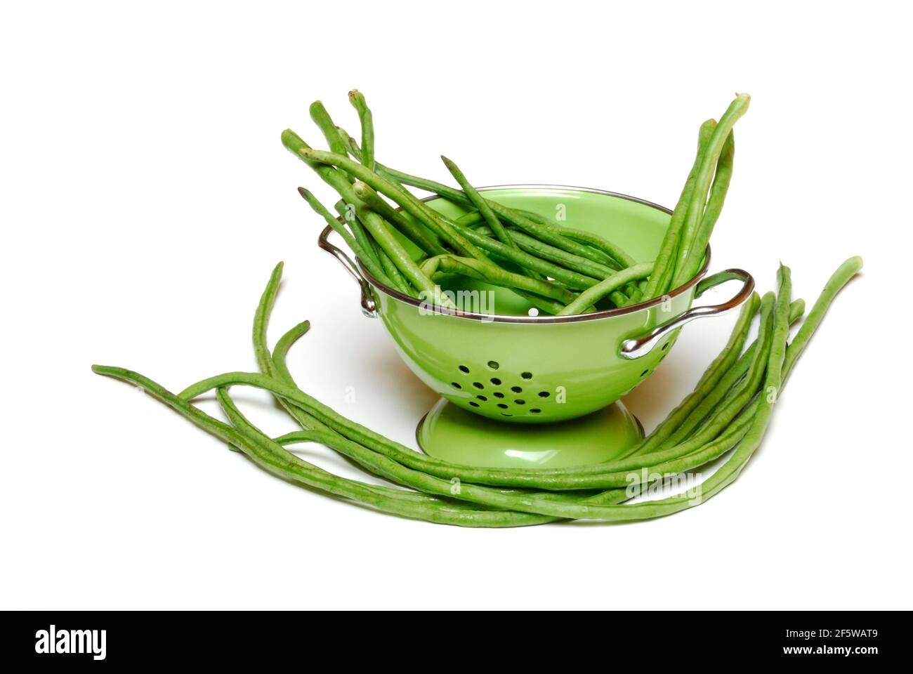 Cowpeas (Vigna unguiculata) fagioli, fagioli, fagioli thailandesi, copia di carbonio Foto Stock