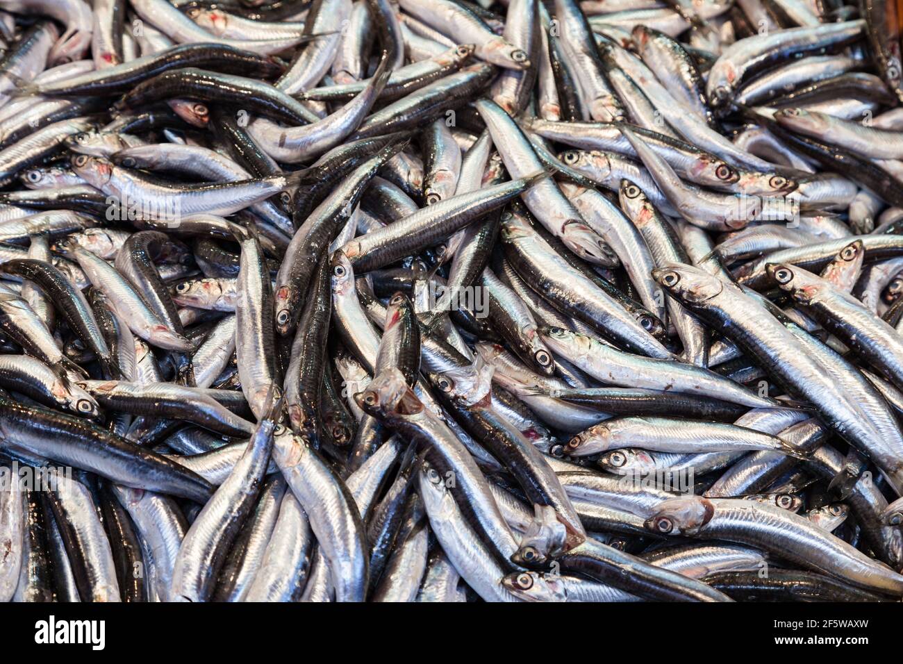 Anchovie europee fresche in mostra in un mercato del pesce in Istanbul - pesce di pesce di fondo Foto Stock