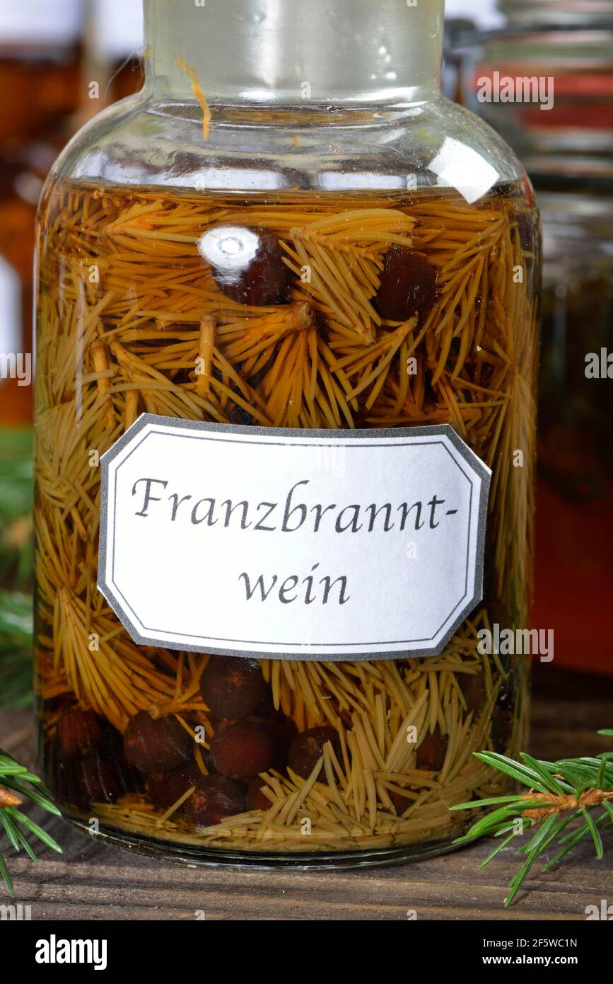 Acquavite francese, rametti di abete rosso, bacche di ginepro, acquavite Foto Stock
