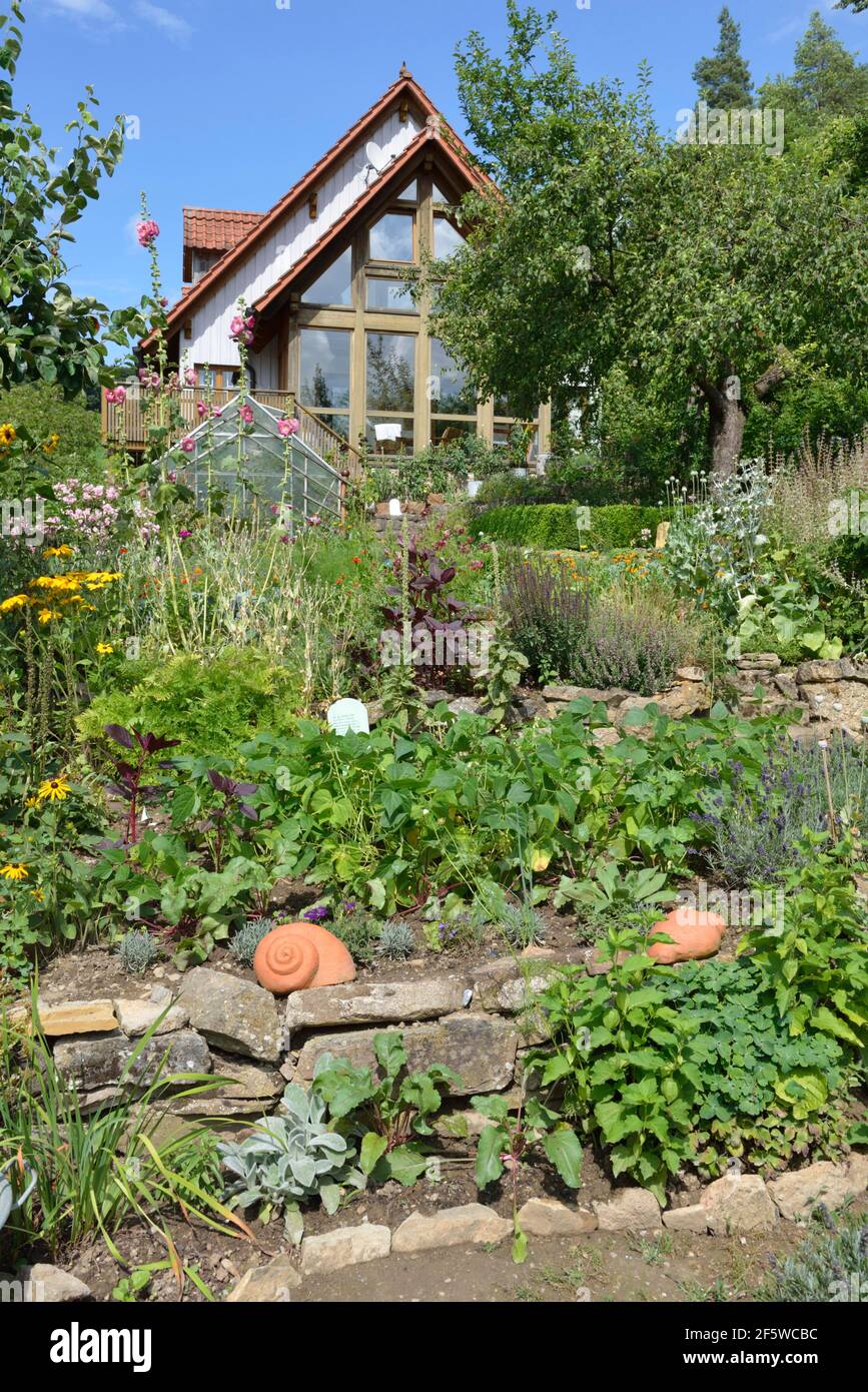 Giardino naturale con muro di pietra a secco Foto Stock