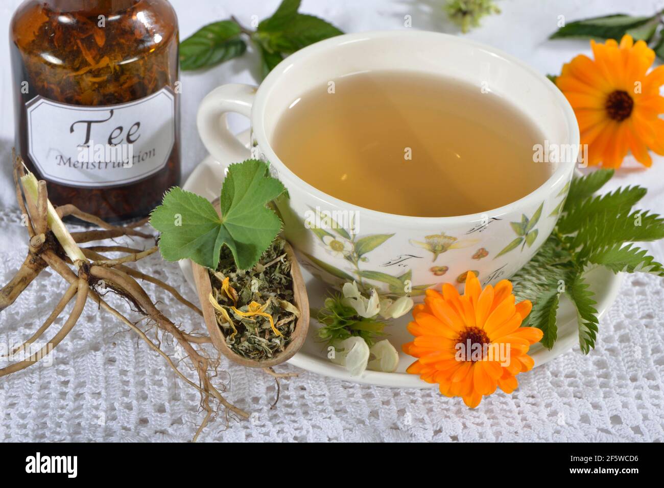 Crampi mestruali tè, calendula (Calendula officinalis), manto da donna, cinquefrolio d'oca, foglie di balsamo al limone, balsamo al limone, foglie di menta piperita Foto Stock