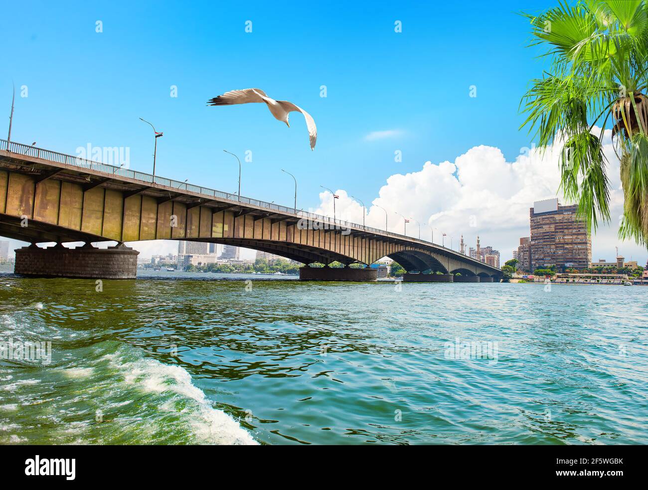 Ponte sul Nilo dividendo de Il Cairo e Giza Foto Stock