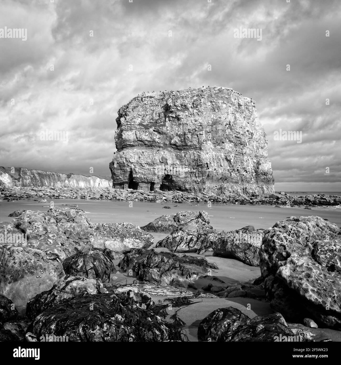 Marsden Rock è una pila di mare che si trova sulla costa nord-orientale dell'Inghilterra, vicino a Whitburn, Sunderland in Tyne and Wear. Foto Stock Marsden Rock è una pila di mare che si trova sulla costa nord-orientale dell'Inghilterra, vicino a Whitburn, Sunderland in Tyne and Wear. Foto Stock