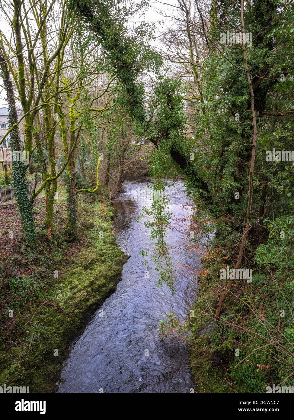 Il fiume West Okement, che scorre verso un incrocio con il fiume East Okement nella città di Okehampton, Devon, Regno Unito. Foto Stock