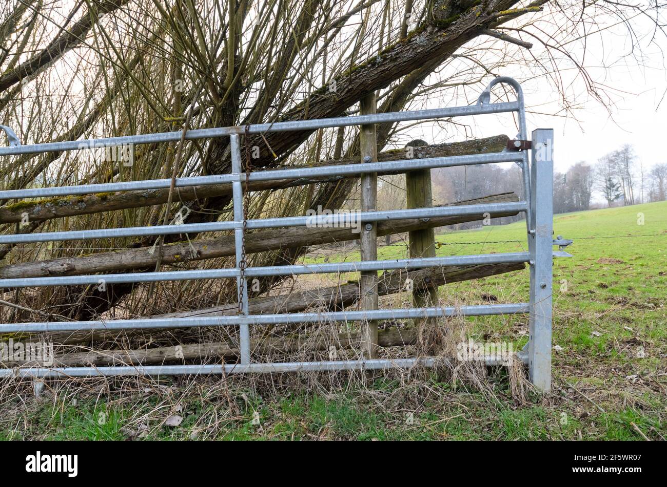 Recinzione metallica, barriera o recinzione lungo una strada o un percorso agricolo nella campagna rurale a Westerwald, Renania-Palatinato, Germania, Europa Foto Stock