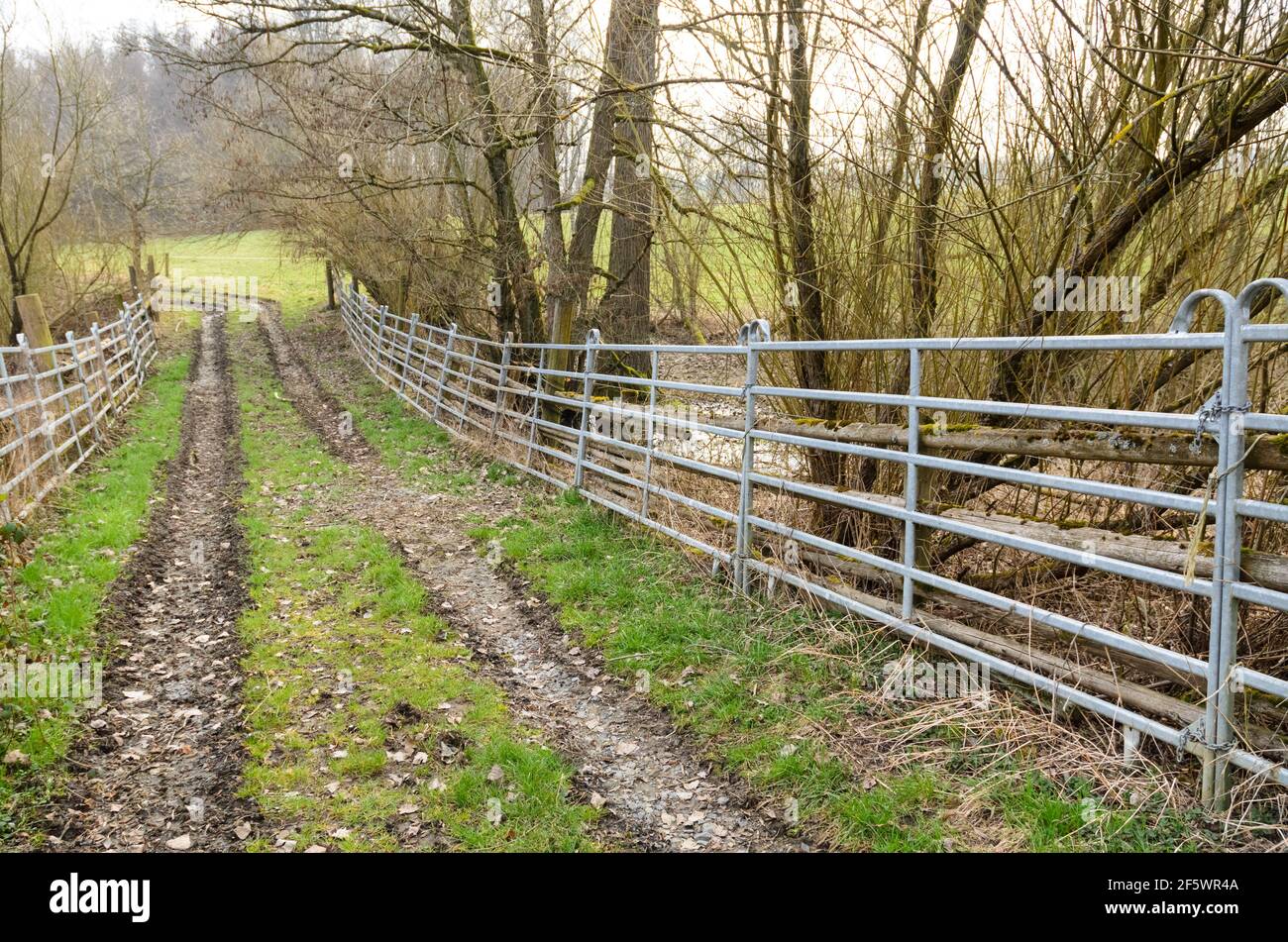 Recinzione metallica, barriera o recinzione lungo una strada o un percorso agricolo nella campagna rurale a Westerwald, Renania-Palatinato, Germania, Europa Foto Stock