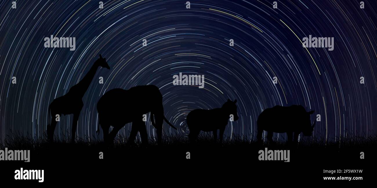 Silhouette di animali africani di notte con stellato nel sfondo Foto Stock