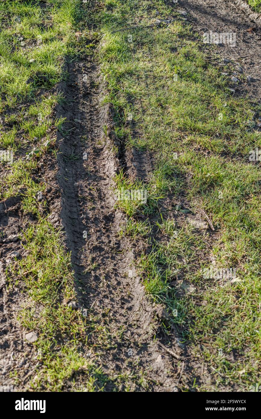 Contrassegno pneumatico su erba bagnata della pista di campagna. Metafora intorno alla curva, cambio di rotta, cambio di direzione, tenere lontano dall'erba, pista fangosa. Foto Stock