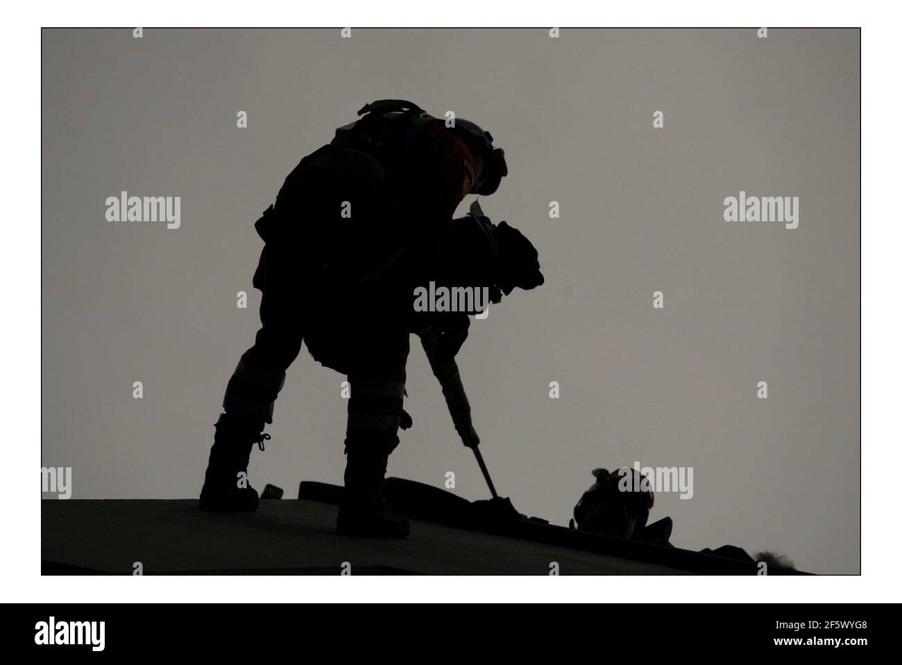 Servizio di discesa degli incendi Rescue Dogs... che stanno frequentando Crufts pratica sul Kennel Club Building a Londra prima della loro apparizione a Crufts dal 10 al 13 marzo 2005 Handler Neil Woodmansey, Lincolnshire Fire and Rescue Service con il suo Labrador Holly.pic David Sandison 1/3/2005 Foto Stock