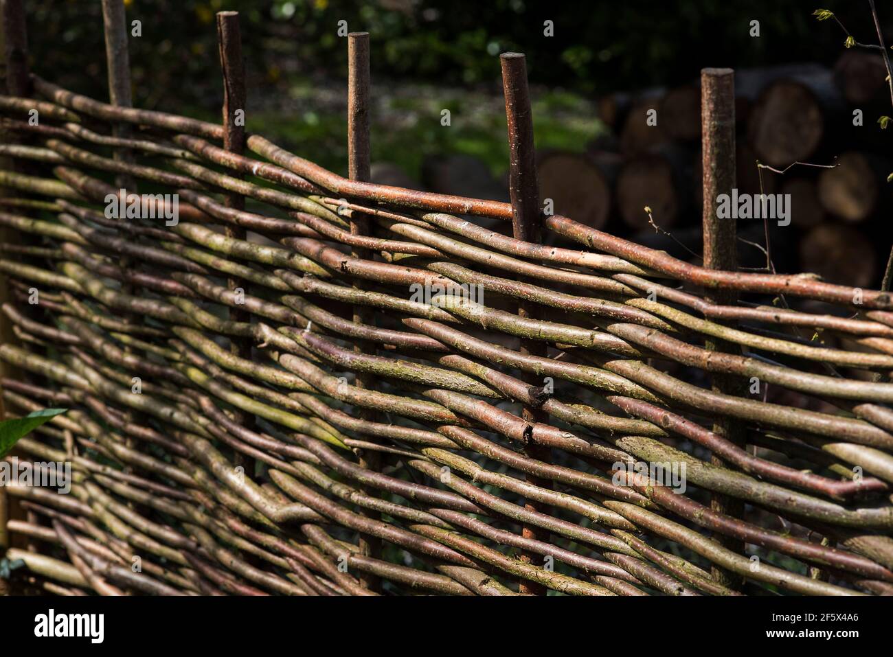 Tradizionali pannelli di recinzione tessuti a mano o hurdles realizzati con rami Hazel spesso con pali di castagno. Foto Stock